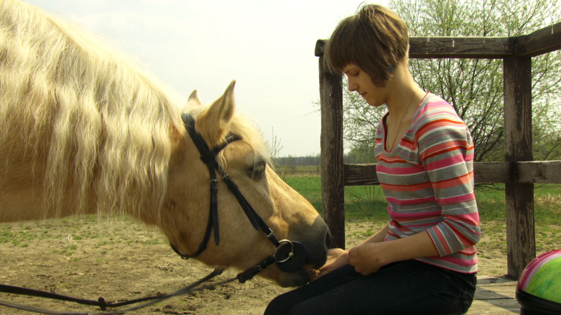 Rada Pa Przy Polskim Czerwonym Krzy u Program Zielone Drzwi Fundacji TVN